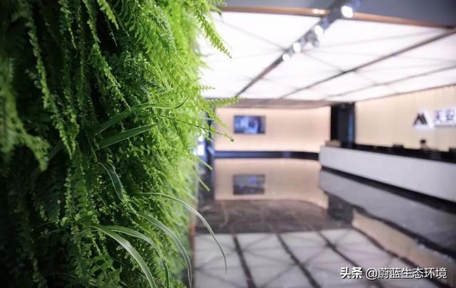 垂直绿化植物墙在森林城市绿地中的应用带来的经验与启示