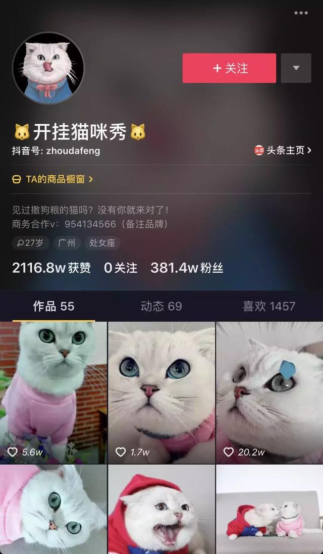 开宠物店之前好好看看，不然你就完了