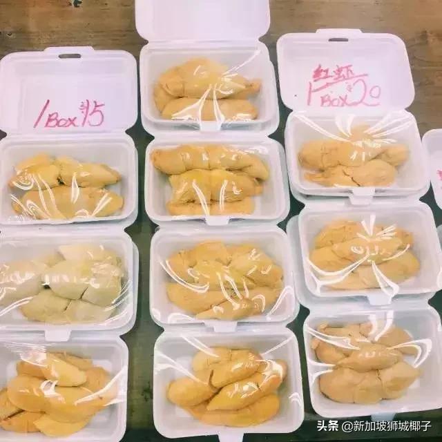 吃榴莲被查出酒驾？！在新加坡吃榴莲你一直要注意这些......