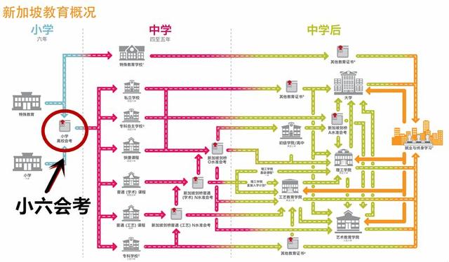 在新加坡从出生到死亡，都被安排的“明明白白”是怎样一种感受？