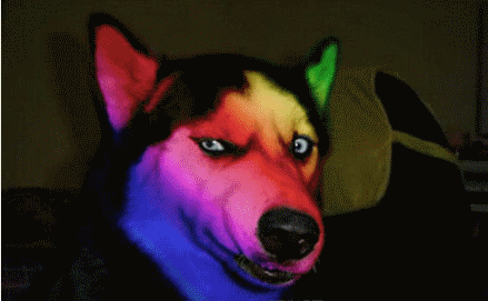 澳战机飞行员在南海被中国渔民“闪瞎狗眼”？事情没那么简单