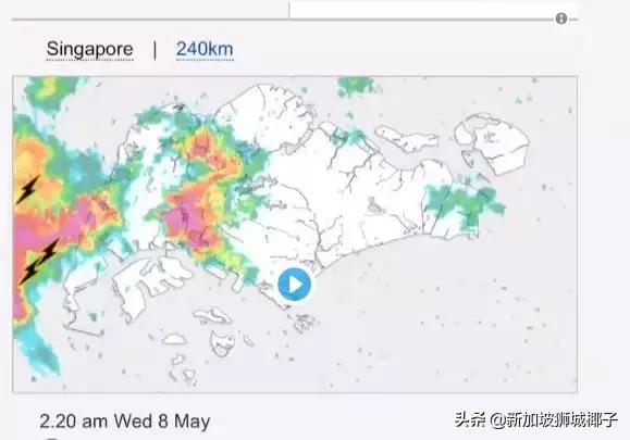 新加坡狂风暴雨来了，全岛多处大树都被连根拔起!