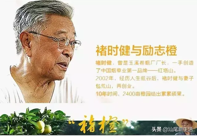 褚时健“橙王”走了，他的企业仍要上市，这位汕尾陆丰商人已入股