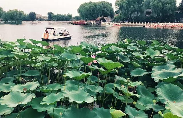 100张图片告诉你，欠下的旅行该还了