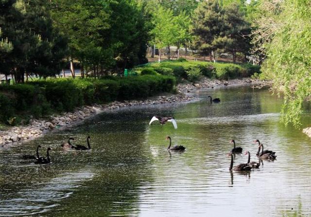 沈阳浑南像新加坡一样的林间住宅 浑河两岸像曼哈顿一样的大厦