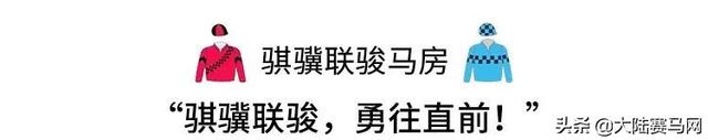 中国赛马界的半壁江山都在这了！看看你认识几个？！