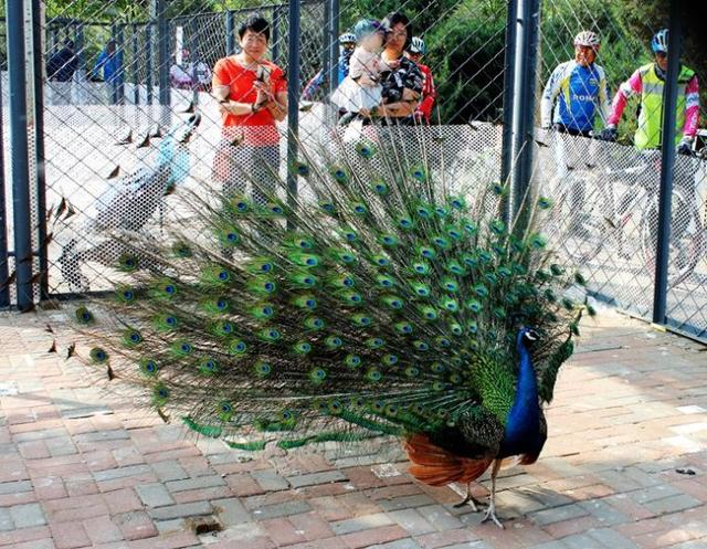 沈阳浑南像新加坡一样的林间住宅 浑河两岸像曼哈顿一样的大厦