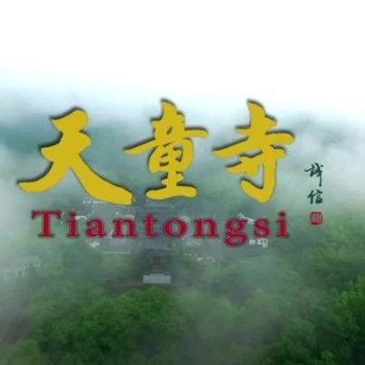 关注 | 告诉您一个真实的天童寺 ——写在纪录片《天童寺》央视首播之际