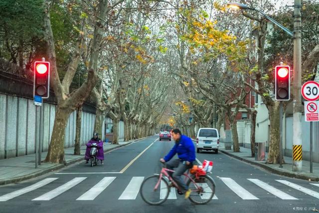 魔都22条网红马路，你轧过多少条？