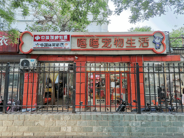 开宠物店之前好好看看，不然你就完了