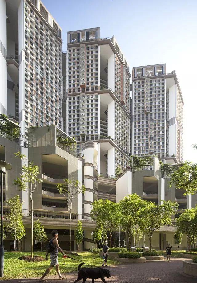 3天游学新加坡最具代表豪宅、商业、酒店、公共建筑景观「招募」