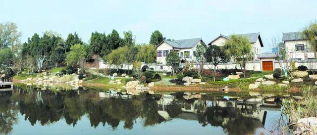 头条 | 走进贾家镇菠萝村，听当地人讲述动人的乡村振兴故事~
