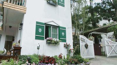 福建最美民宿季丨沐花香而心悦，邀白云入吾舍，百年鼓岭上秘密花园