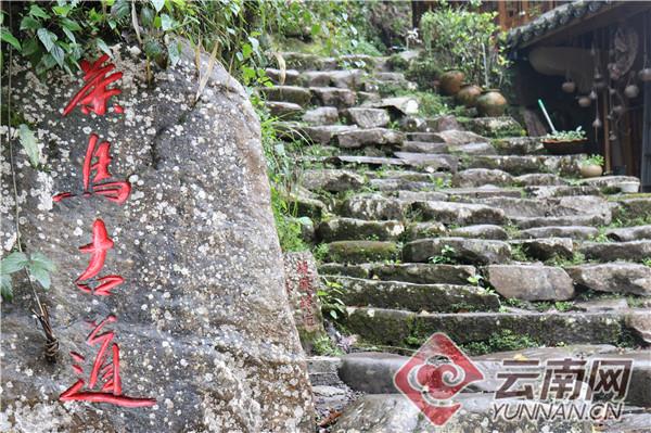 「绿色发展看普洱」美出新高度 绿色跨越的普洱那柯里“样板”