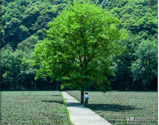 麗芙蓉创始人赵秋云：一生专注一件事，让“芳香”留住健康和美丽