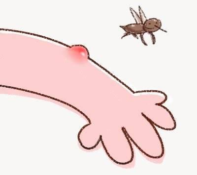 “蚊子季”来了！请小心这些传染病