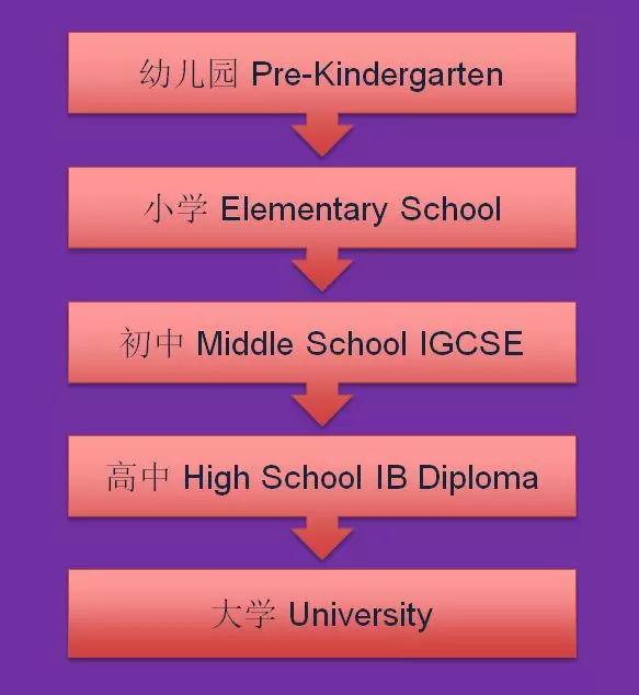 这家国际学校竟然比公立学校还好——新加坡斯坦福美国国际学校