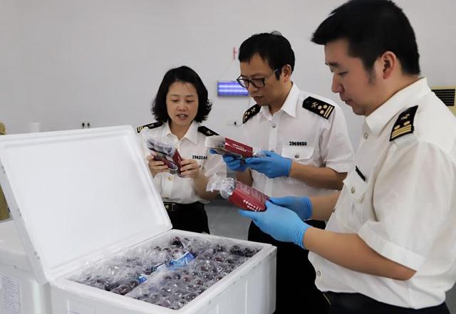 独家｜今年首批杨梅“出关”漂洋过海分享一份甜蜜