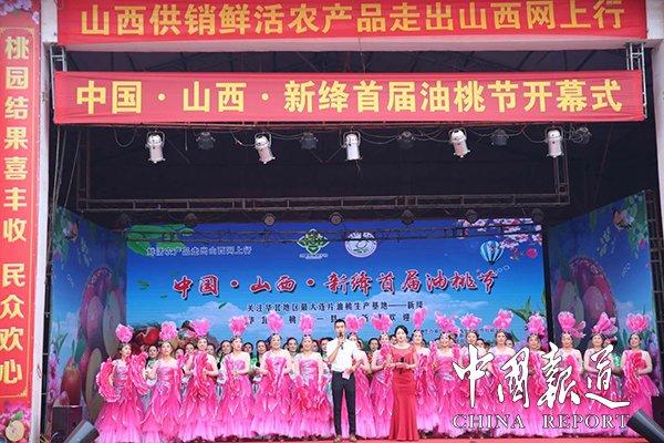 万亩油桃喜迎丰收 新绛县首届油桃节开幕