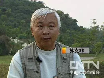 「致富经」从一块石头到打造出苏氏山水王国