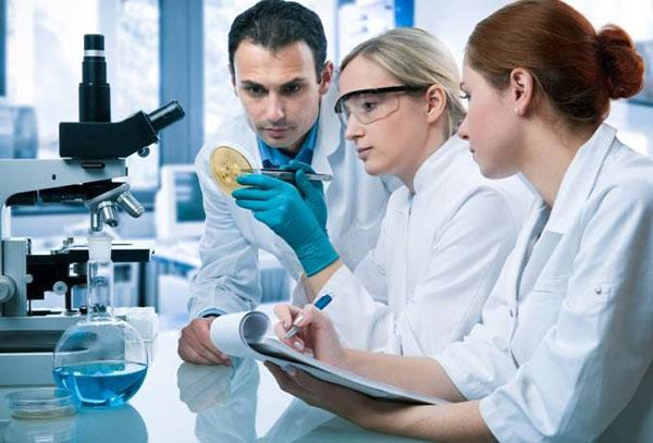 科学家发现棉花废弃物的新用途