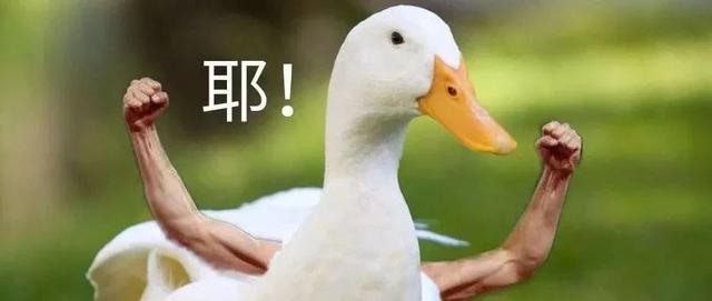网友：台湾省沾了祖国的光……