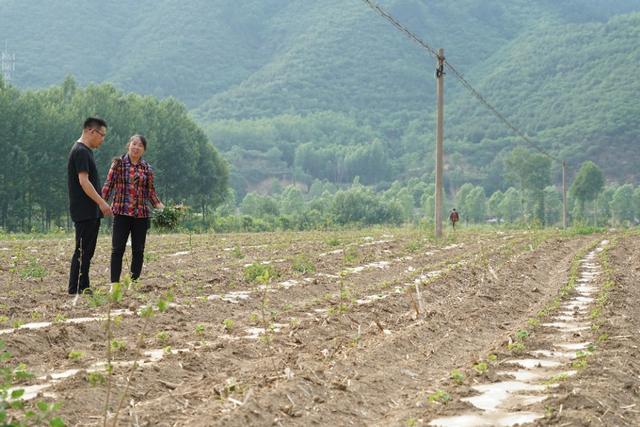 杨凌科技，落地生根养成记—2019走出杨凌看示范活动圆满收官