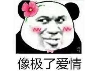 物种日志丨鸟中黑寡妇！爱记仇的黑卷尾：惹我你就“死”定了