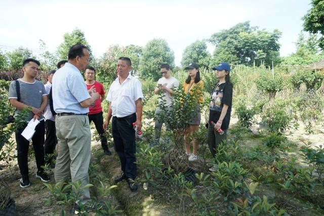 杨凌农科，见证收获足迹 2019走出杨凌看示范活动侧记