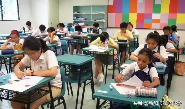 中国和新加坡小学生的一天，竟是如此的不同