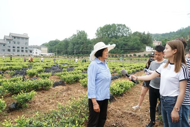 杨凌科技，落地生根养成记—2019走出杨凌看示范活动圆满收官