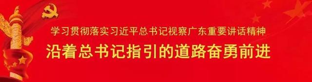 今日清远资讯 | 小象城泊服务功能升级