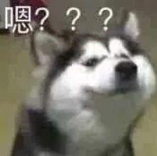 「荐读」就算是在重庆，这也太夸张了吧