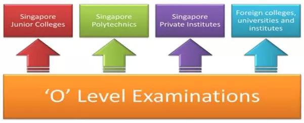 这家国际学校竟然比公立学校还好——新加坡斯坦福美国国际学校