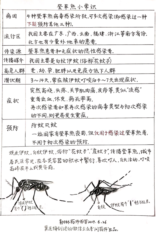 登革热来势汹汹，提醒老、幼、病、胖、孕人群做好防护