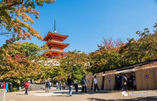到日本寺庙赏秋，发现中国人居然比日本人还多