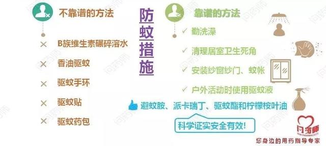 登革热来势汹汹，提醒老、幼、病、胖、孕人群做好防护