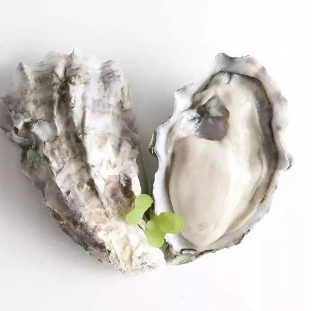 以海之名，唤醒舌尖感动丨一周酒店