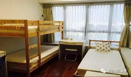 坡岛单身男在网上招女租客，住高级公寓还每月倒给3500新币