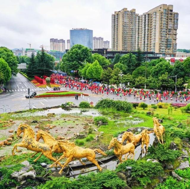 赛事 | 爽爽贵阳生态领跑 2019贵阳马拉松圆满结束