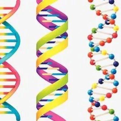前沿 | DNA“条形码”瞄准生物大发现
