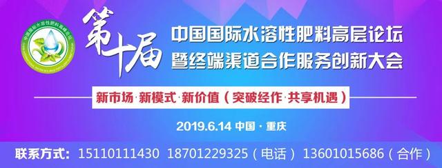 关注 | 果大、色红、品质好！盖州桃价格创新高的秘籍是啥？