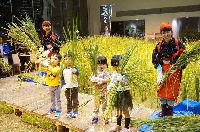 解读全球都市农业5大模式，让农业在城市也大有可为