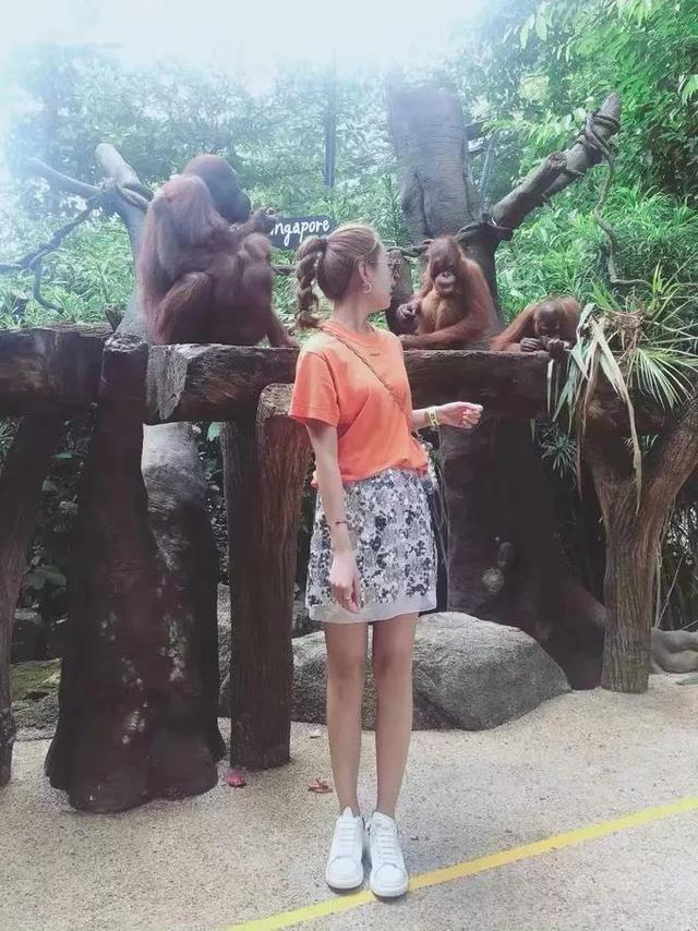 甜程游记 | 花样逛吃玩，快来get新加坡旅行的正确打开方式