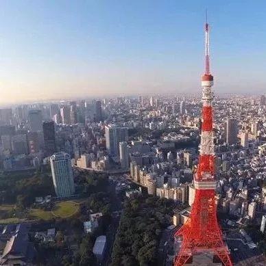 美哉！日本｜“一花一园一城”系列国家园艺宣传片④