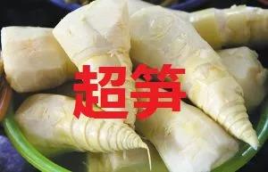 超笋！新加坡留学费用大起底，快来看看吧