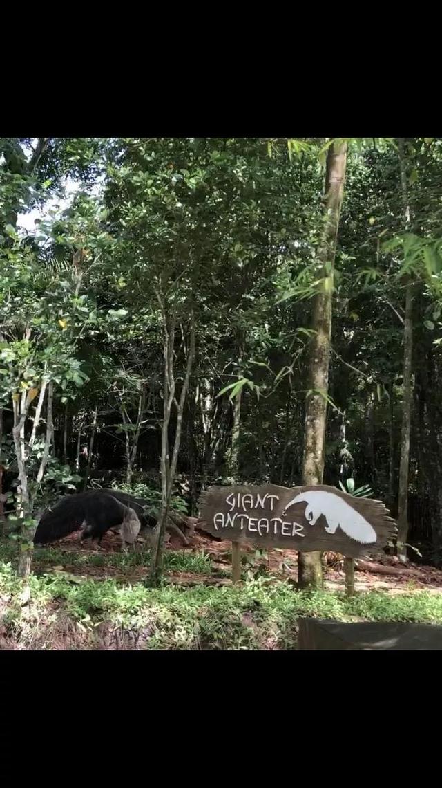 甜程游记 | 花样逛吃玩，快来get新加坡旅行的正确打开方式