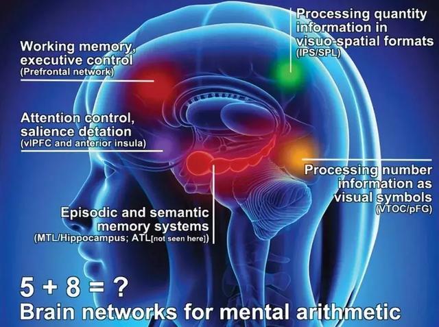 数学并不只有计算，视觉数学更重要