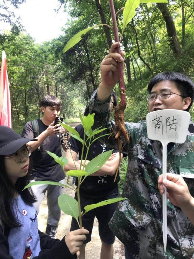 路边的中草药究竟能不能随性吃？看专家怎么说