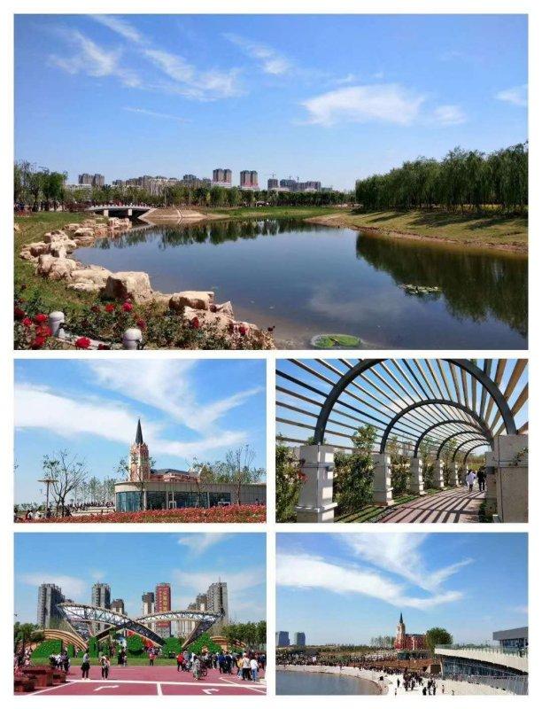 裕昌·九州新城｜九州洼月季公园正式开园！园与城相辅而生
